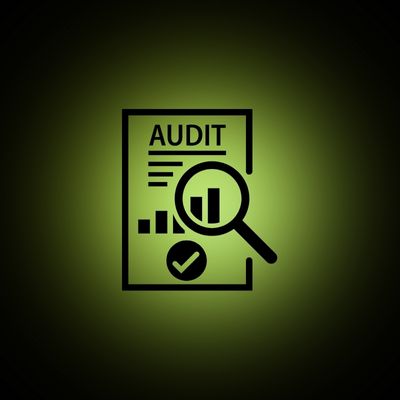 Internes Audit